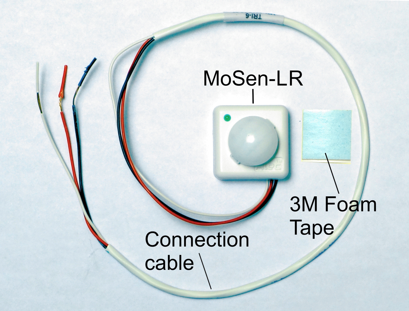 figure1.jpg