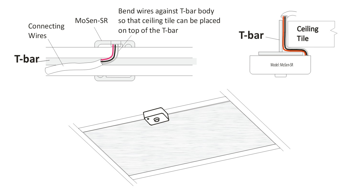 figure5.jpg