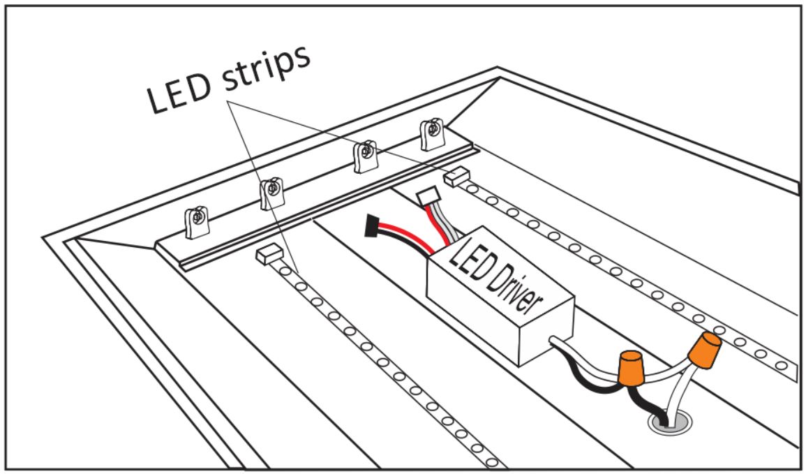figure4.jpg