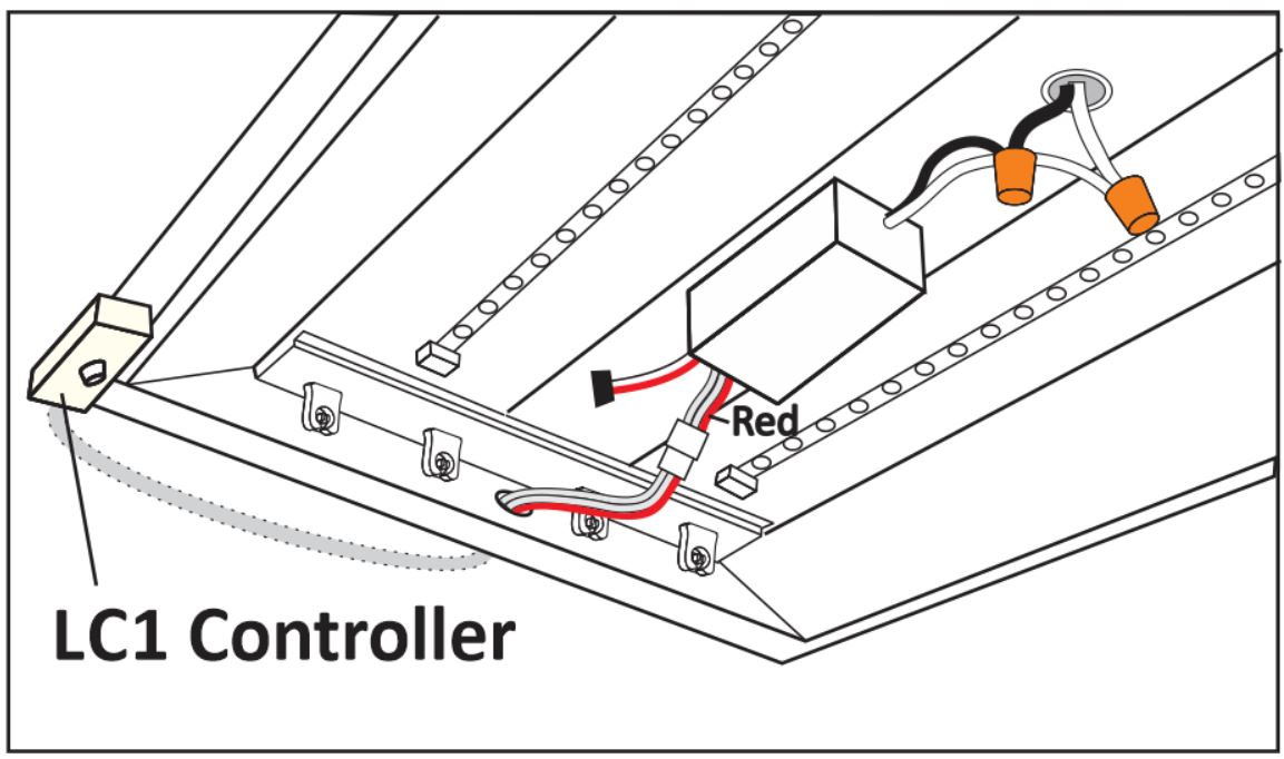 figure8.jpg